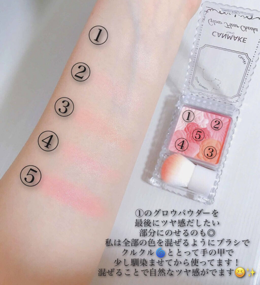 「秋の新色もチェックして。おすすめ優秀チークを厳選しました♡」の画像(#101548)