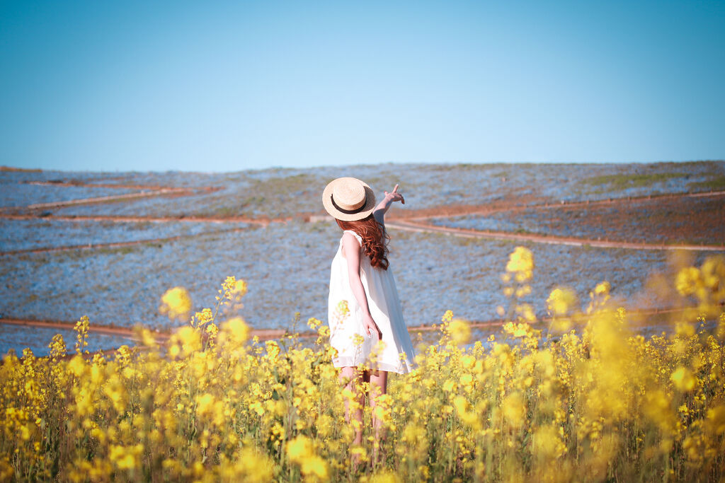 HACCI(ハッチ)のリップアイテムが大人気♡その秘密と簡単はちみつパック方法の画像