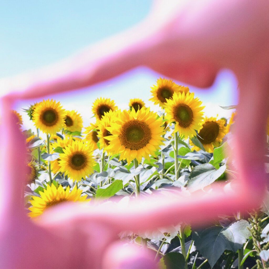 マスクメイクをワンランクUP♡頼れる夏の相棒アイテム集めましたの画像