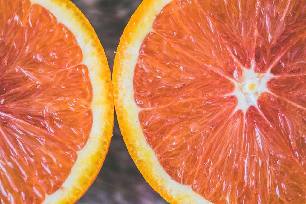 Photo by Noah Buscher on Unsplash