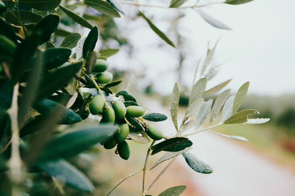 Photo by Nazar Hrabovyi on Unsplash