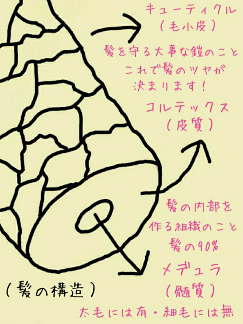 「意外と知らないトリートメントをする意味を徹底解説!傷んだ髪におすすめのアイテム8選」の画像(#260229)