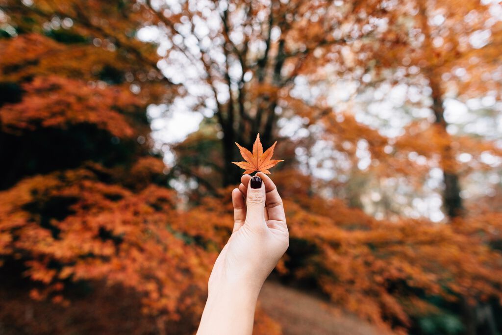 Photo by Erico Marcelino on Unsplash