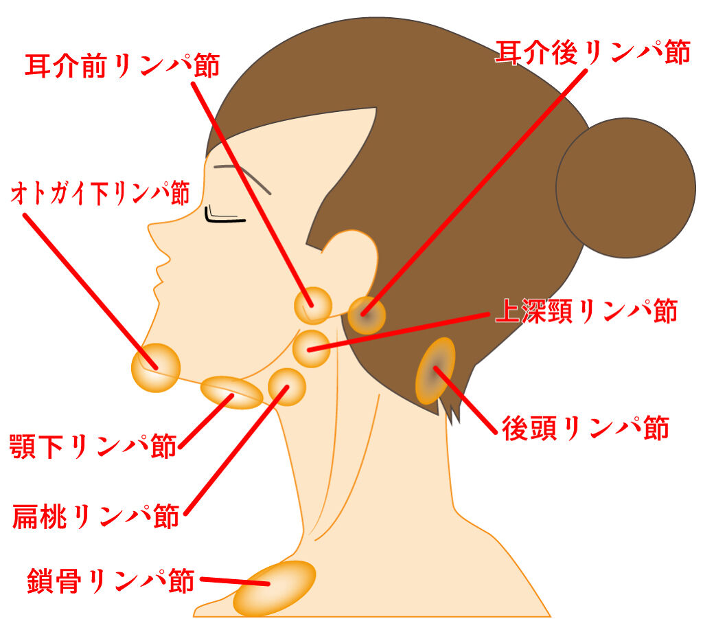 なかなか消えない青グマの原因は?コンシーラーでの消し方や簡単なケア方法を解説の画像