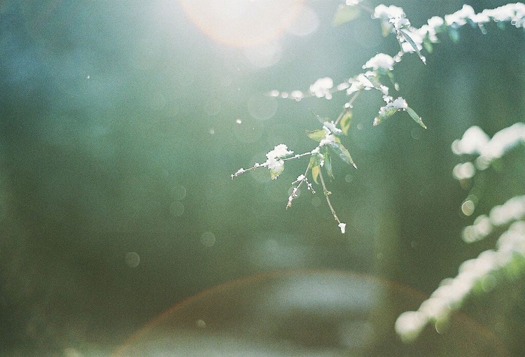 スキンケアしないほうが肌にいい 肌が綺麗になる正しいお手入れ方法とは Lips