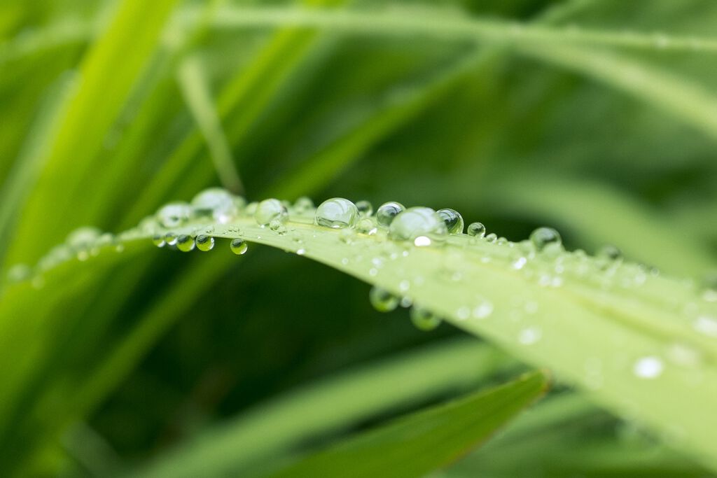化粧水と〇〇で終わり!10秒で終わるスキンケアでもっと楽しよう♡の画像