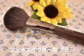 Ancci brush