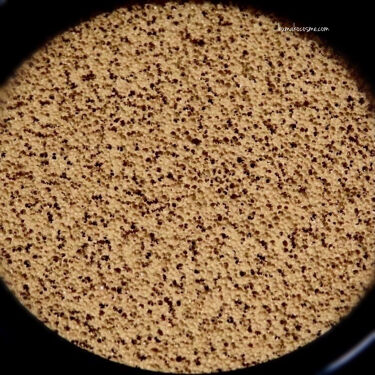 ピュアラディアントプロテクション アクアティックグロー クッションファンデーション Spf50 Pa Narsの人気色を比較 ブルベ 夏におすすめのクッションファンデーション Narsピュアラデ By くまざわ くまお Lips