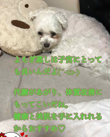 よもぎ蒸し よもぎ蒸しのリアルな口コミ レビュー Lips