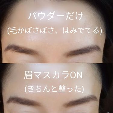 リシェ カラーリング アイブロウマスカラ Viseeを使った口コミ ３枚目 眉画像あります 初公開 By さくら 混合肌 40代前半 Lips