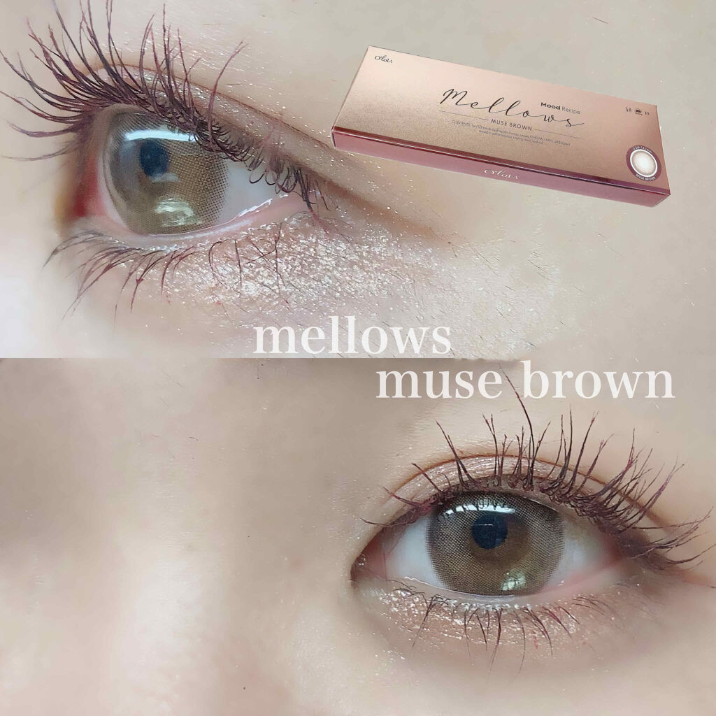 メローズワンデーミューズブラウン Mellows 1day Muse Brown Ololaのカラコンレポ 着画口コミ 最強可愛い 柔らかいのにちゅるんなのにナ By 楚乃 乾燥肌 20代前半 Lips