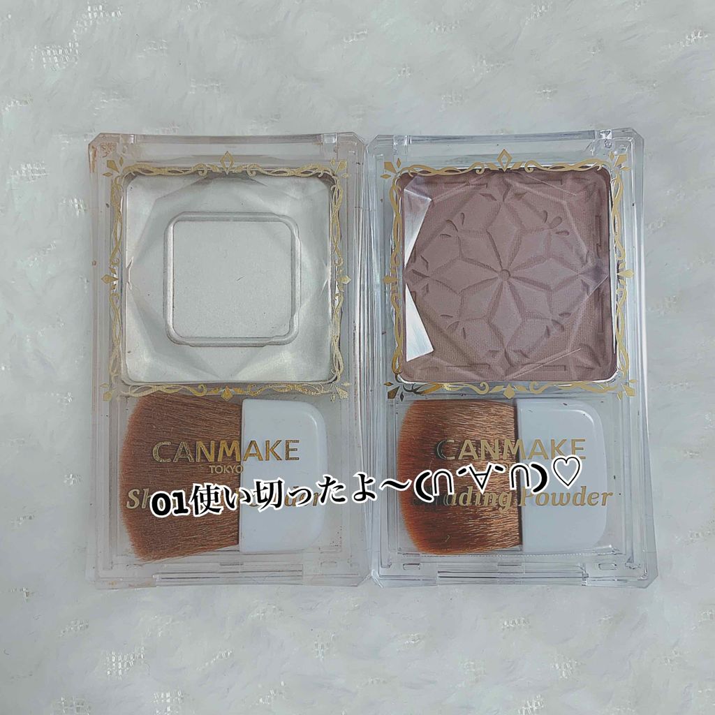 あなたはどっち派 キャンメイク Vs Etude シェーディングを徹底比較 あのりおしゃんが買わな By りおしゃん ブルベ夏 代後半 Lips
