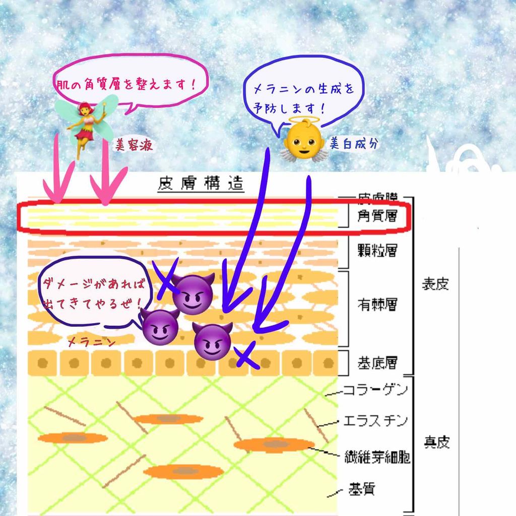 年代 肌質別 フェイシャルスプレー エビアンの口コミ 310件 Lips