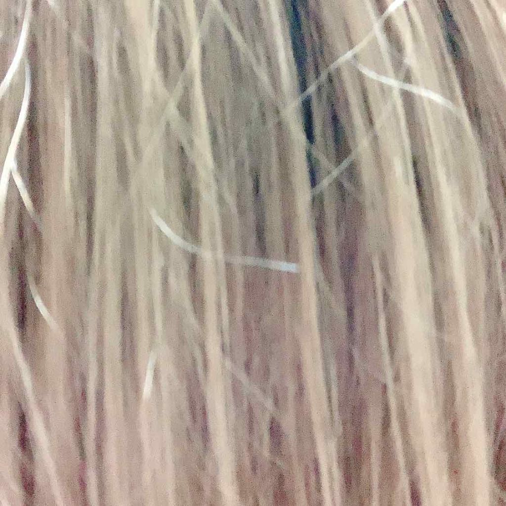 エブリ ヘアカラー アンナドンナの口コミ 私 ブルーブラックに憧れてる おうちで By Judas 乾燥肌 代前半 Lips