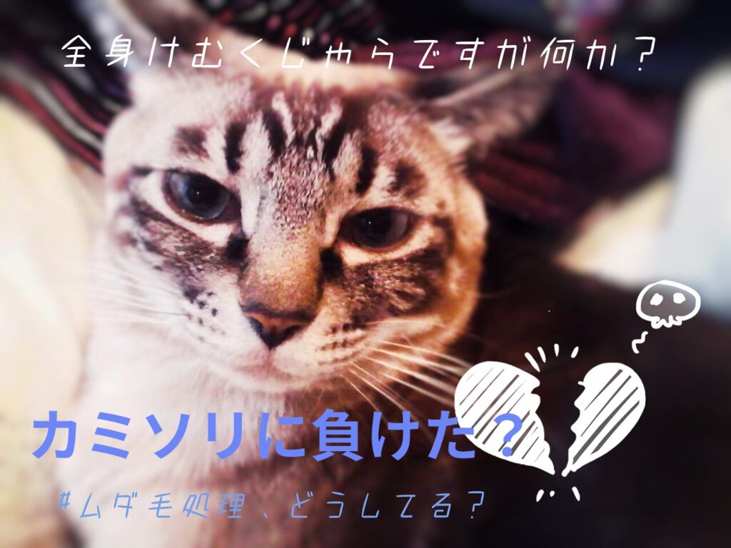 ケアノキュア(医薬品)／小林製薬の画像・動画一覧  LIPS