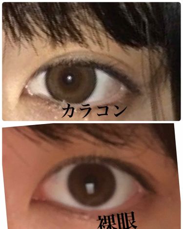 Flanmy 1day Flanmyのカラコンレポ 着画口コミ 橋本環奈になれると噂のカラコン 橋本環奈感 By ゆか 10代後半 Lips