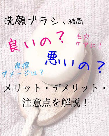 洗顔ブラシ リヨンプランニングのリアルな口コミ レビュー Lips