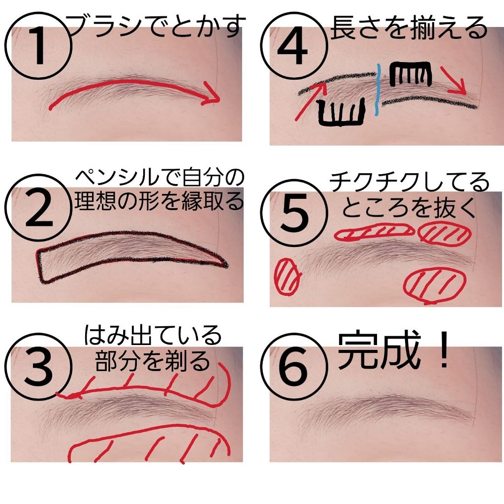 ③毛の長さを均一にカットする
