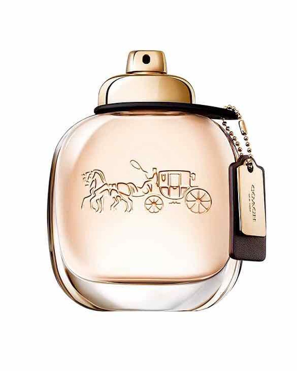 コーチ オー ド パルファム Coachの口コミ コーチedpムスキーなベリーとローズのフロ By ʚ M ɞ 代前半 Lips