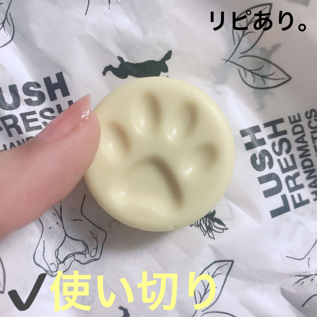 チャリティポット コイン ラッシュの使い方を徹底解説 Lushチャリティポットコイン 内容量 By 愛梨花 普通肌 代前半 Lips