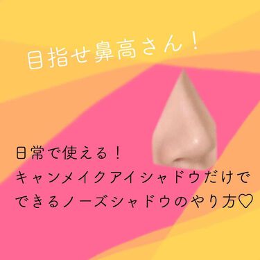 パーフェクトマルチアイズ キャンメイクの口コミ 簡単にできるノーズシャドウのやり方です 使 By ひま子 Lips