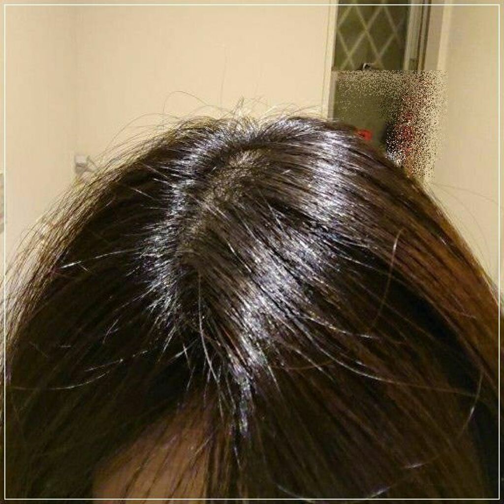 カラーリングミルク パルティの口コミ ダリヤ パルティカラーリングミルク 黒髪用 By ピカにゃん 混合肌 40代後半 Lips