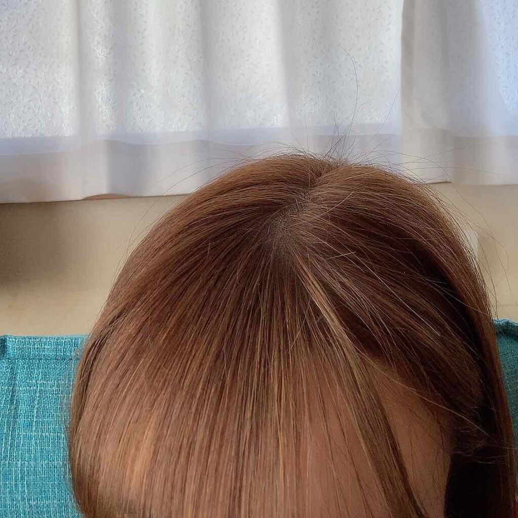 泡カラー 医薬部外品 リーゼの辛口レビュー ブリティッシュアッシュ想像していた色とは By さぴちゃん 脂性肌 10代後半 Lips