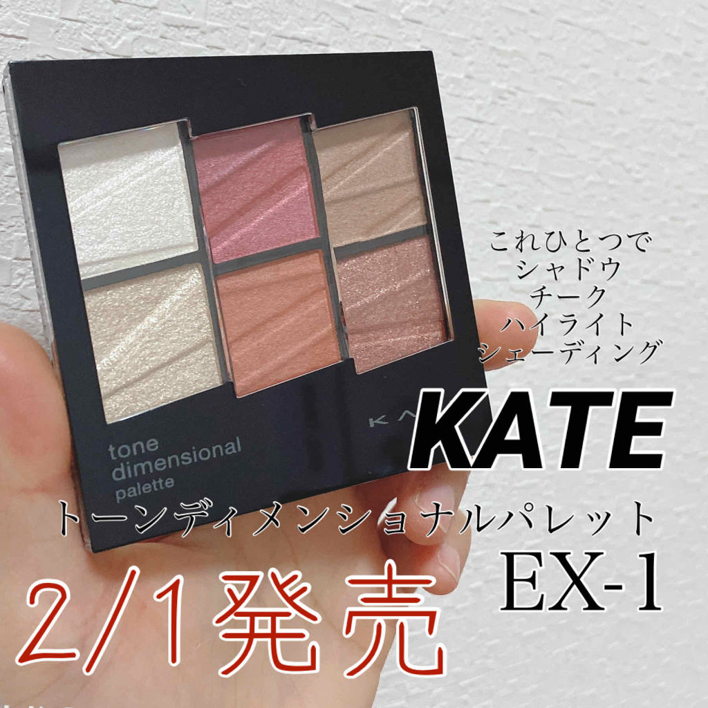 トーンディメンショナルパレット Kateの口コミ アイもチークもコントゥアもこれひとつ Ka By ぽにたん 混合肌 代後半 Lips