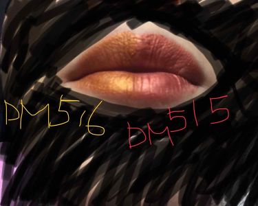 限定色レビュー ラプソリュ ルージュ Lancomeの口コミ 4枚目唇の写真があるので お気をつけくださ By みらい Lips