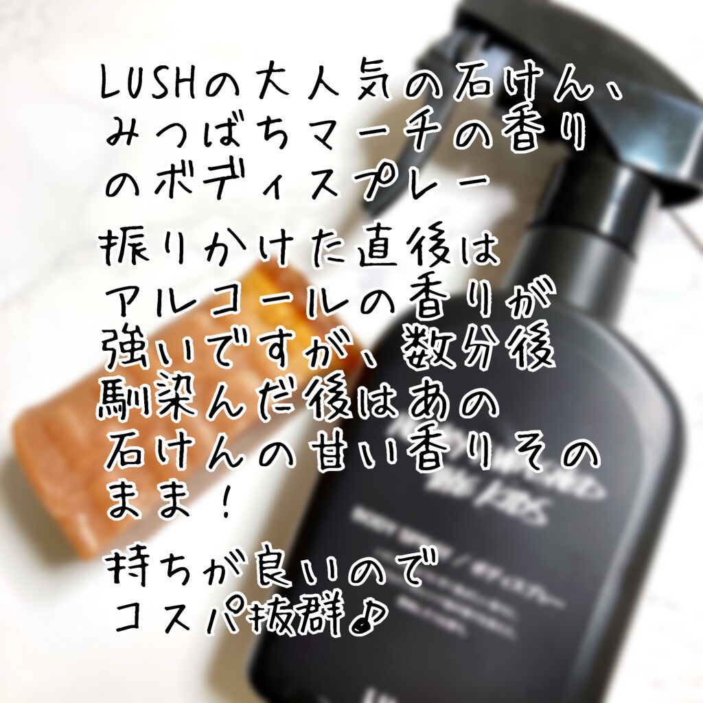 みつばちマーチ ラッシュを使った口コミ はちみつ 好きさんにおすすめ Lush By きゅー 混合肌 代前半 Lips