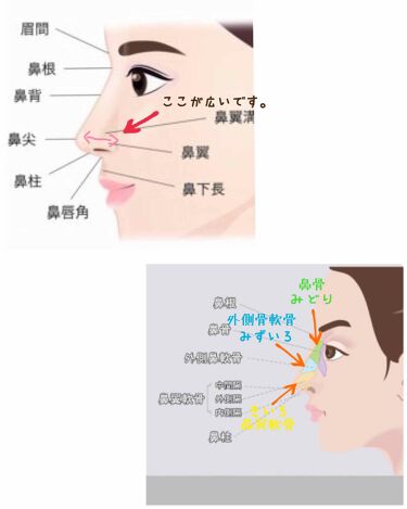 お鼻リフォーマー ハナハナ グッズマンを使った口コミ たくさんのいいね ありがとうございます By Asuka 脂性肌 代前半 Lips