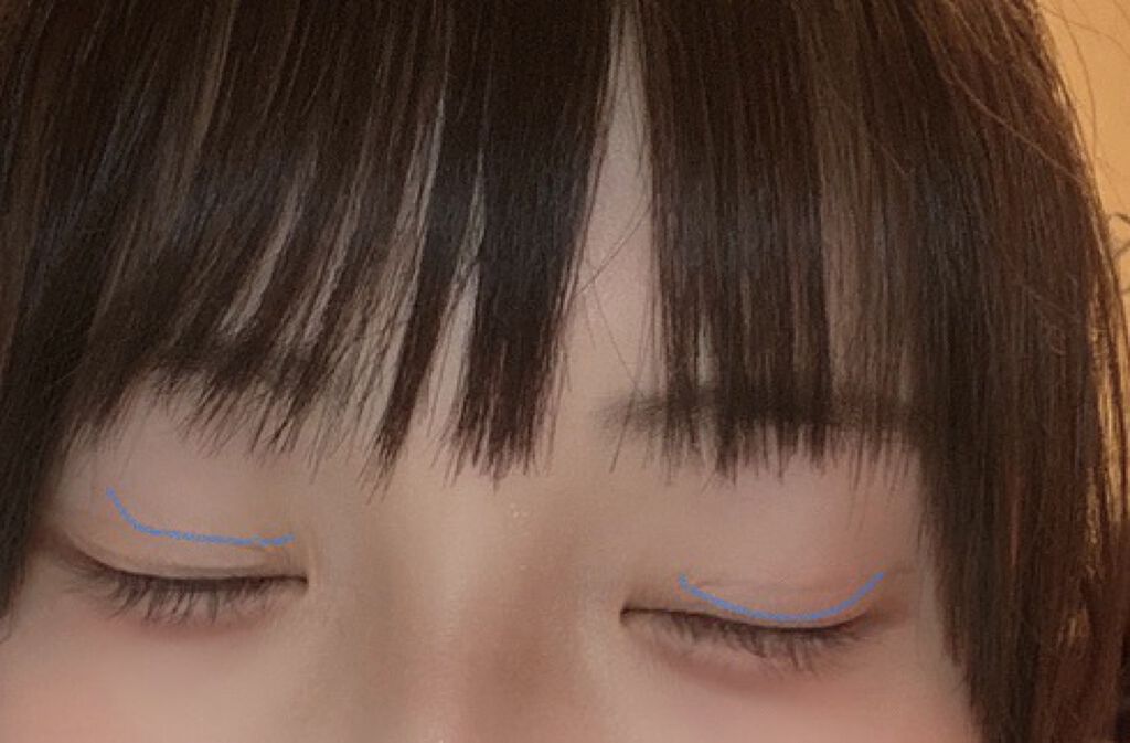 理想のふたえ ぱっちり幅広 ヌーディーワイド セリアの画像 動画一覧 Lips