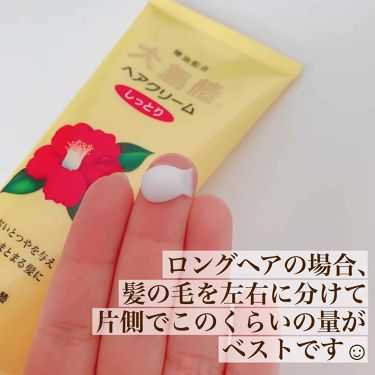 ヘアクリーム しっとり 大島椿の使い方を徹底解説 ニットにコート 冬のファッションって静電気 By Riri 混合肌 Lips