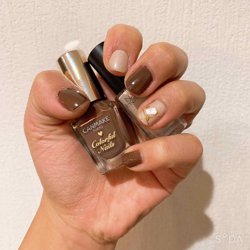 カラフルネイルズ キャンメイクを使った口コミ 茶色ネイル キャンメイクn15ネイルホリ By Jheni 普通肌 代後半 Lips
