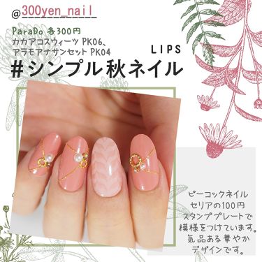 ミニネイル パラドゥの口コミ シンプル秋ネイルパラドゥネイルの2色をメ By Yuyu 300yen Nail Lips