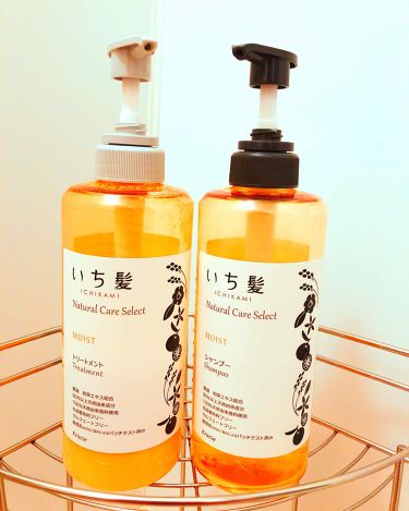 あなたはどっち派 Botanist Vs Honeyce Vs いち髪 Vs ディアボーテ Himawari シャンプー コンディショナーを徹底比較 シャンプー比較 髪質 By ひつじ 乾燥肌 代後半 Lips