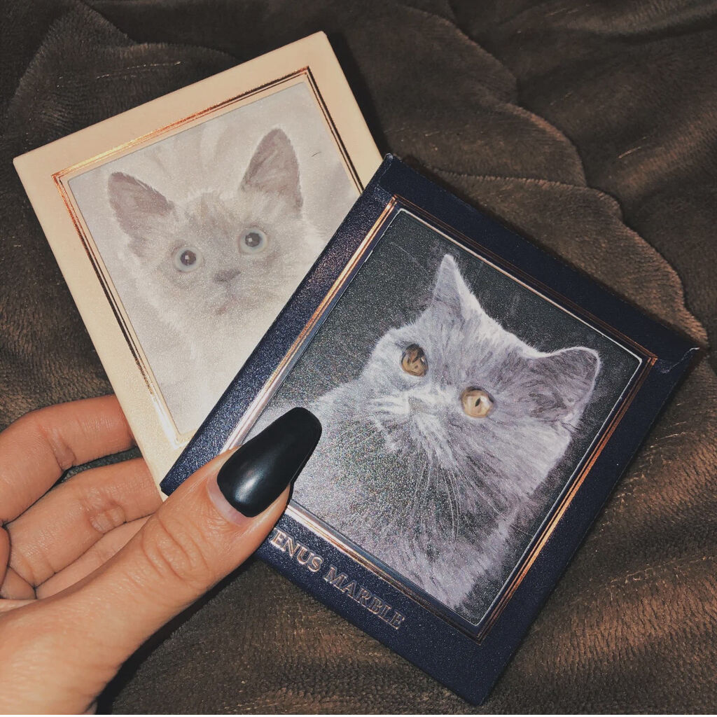 アイシャドウ猫シリーズ Venus Marble ヴィーナスマーブル の口コミ 発色もいい可愛いシャドウパレット ー By あやかんぼ 混合肌 代後半 Lips