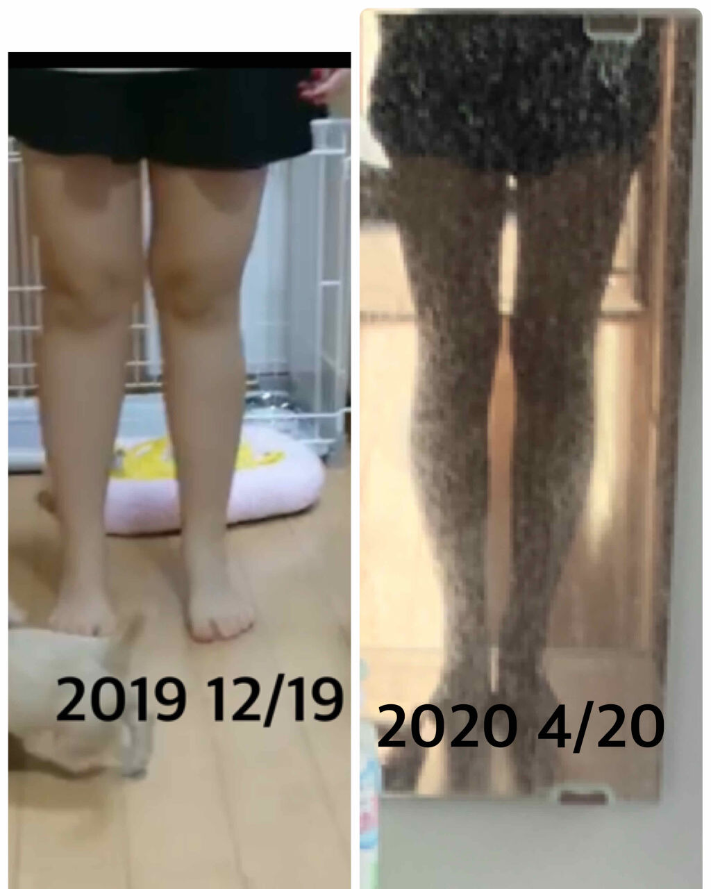 爆発物 着る 男 メディキュット 期間 Ityou Jujo Jp