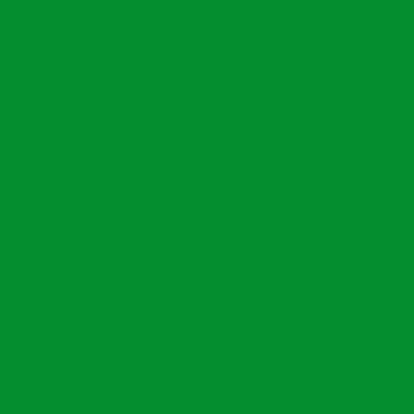 プチプライス  カラージェル C-254 ピグメントグリーン