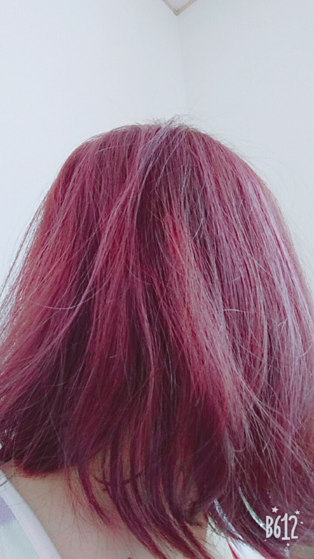 アレス カラー ピンクシャンプー ピンクトリートメント アレスカラーの口コミ 今 髪の毛の色が 赤プラスピンクプラス所々 By Asami Lips