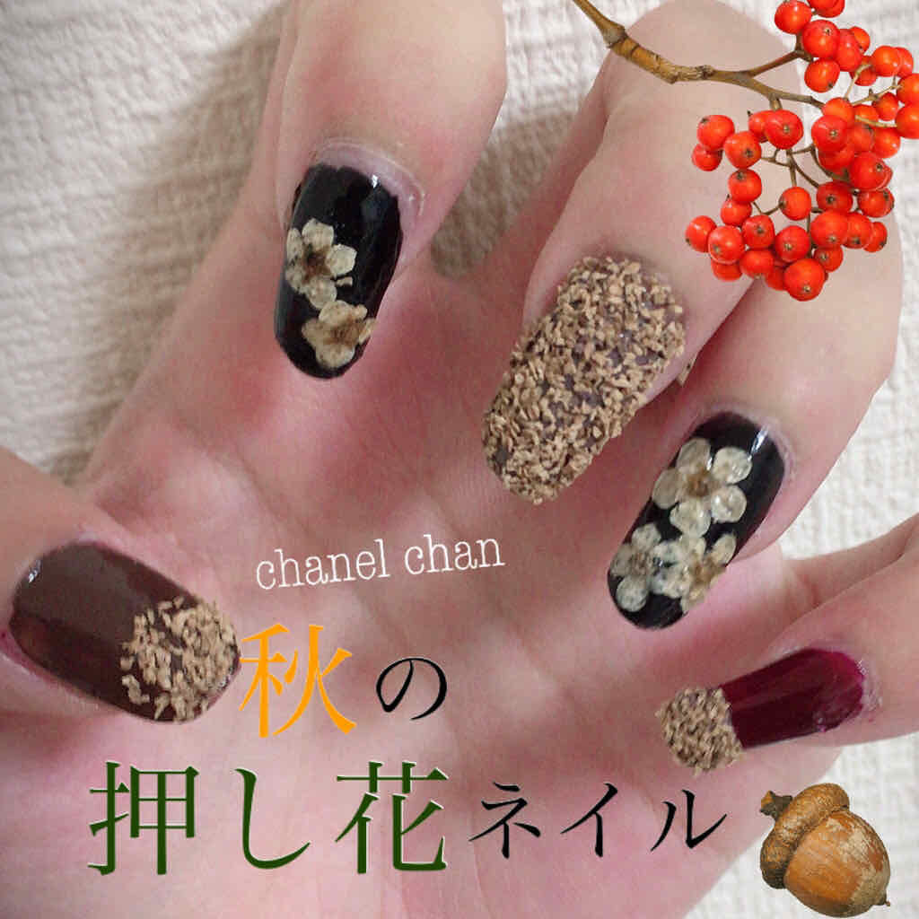 プレイネイル Etudeを使った口コミ 秋の押し花ネイル 押し花 コルクパウダー By Chanel Chan 延命治療中 混合肌 Lips