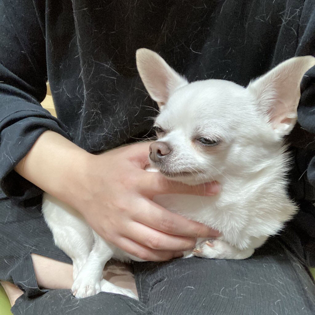 オイル Trackの口コミ ころんと可愛いオスマンサスのヘアオイル 濡 By しに子ちゃん 乾燥肌 Lips