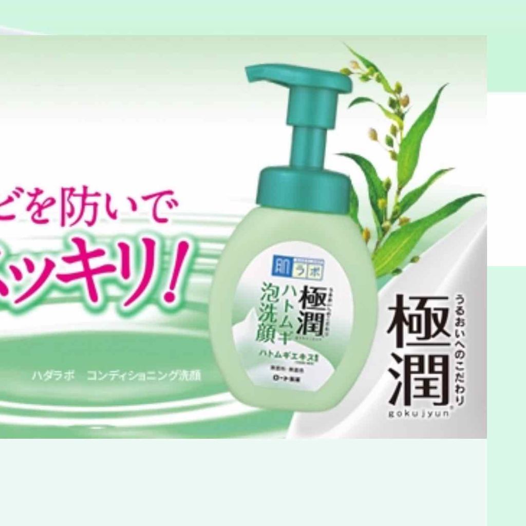 注目の ロート製薬 肌研 ハダラボ 極潤 ハトムギ泡洗顔 160mL fucoa.cl