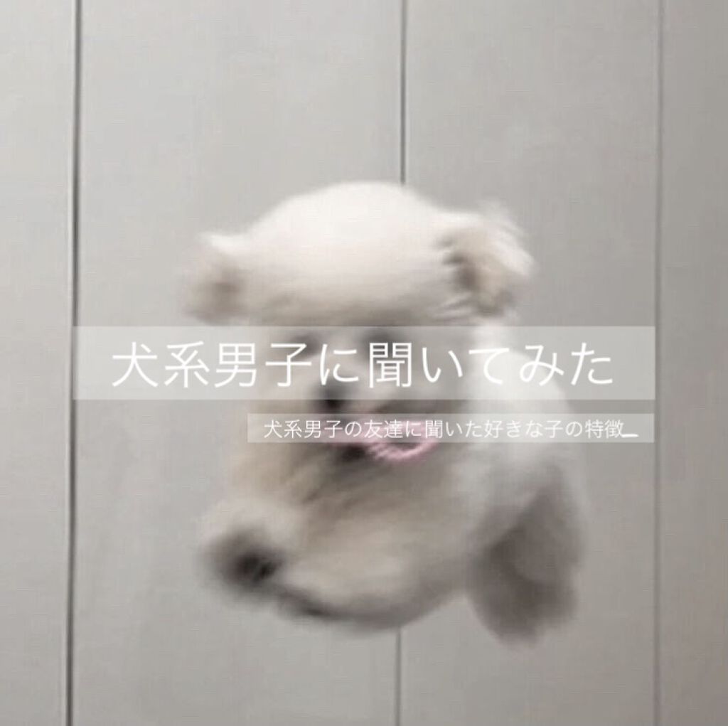 Honeyメルティモイスト ハンドクリーム Honeyの口コミ 犬系男子の友達に好きな女の子の特徴を聞いて By ささめ 敏感肌 Lips