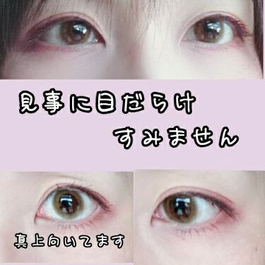 Flanmy 1day Flanmyのカラコンレポ 着画口コミ 3枚目に がいっぱいいます 今日は暖か By チップ ルイ ໒ 敏感肌 30代後半 Lips