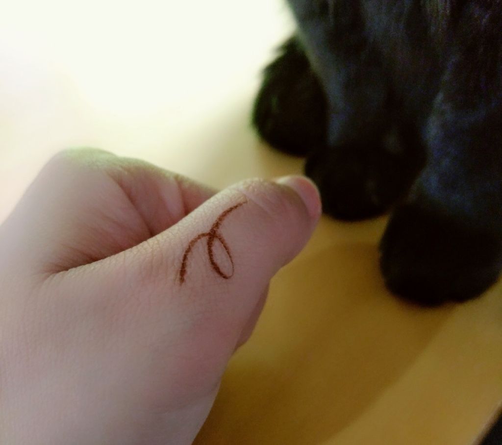 スーパーキープ リキッドライナー インテグレートの口コミ アイライン引くの慣れてない上 まぶたが脂ぎ By モフねこかあちゃん 混合肌 30代後半 Lips