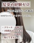 ビューティラボ ホイップヘアカラー 泡タイプ ビターショコラ ビューティラボ Beautylabo Lips