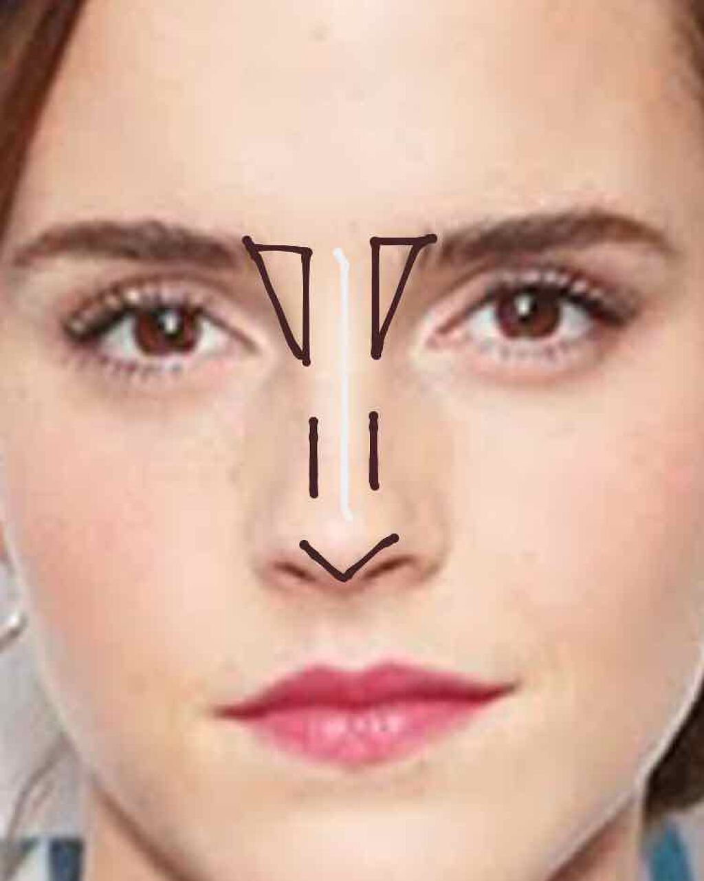 デザイニングアイブロウ3d Kateを使った口コミ 鼻にコンプレックスある方必見 今回は By ももか 桃香 混合肌 10代後半 Lips