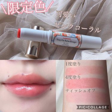 全色レビュー キャンメイクのステイオンバームルージュを徹底比較 Lips