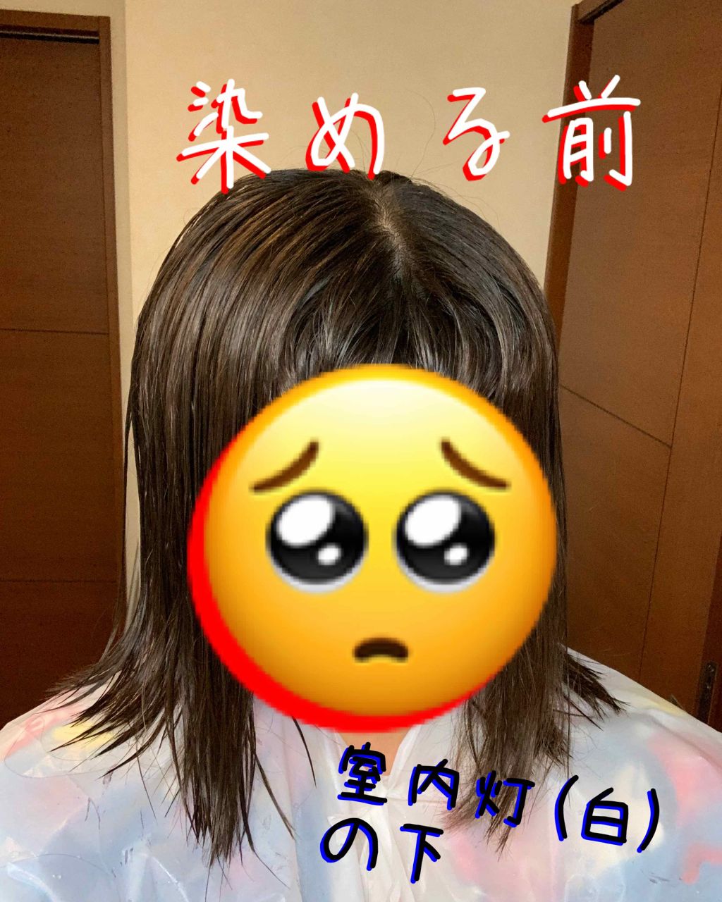 Ancels Color Butter エンシェールズの使い方を徹底解説 カラートリートメントで染めてみた こんにち By ふたば アトピー肌 代前半 Lips